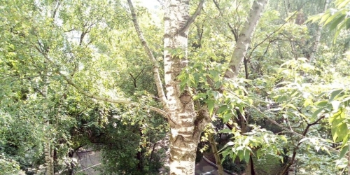 1-комн квартира Наримановская ул ,  д. 25,  к. 3