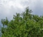 Продать Квартиры вторичка улица Отважных, 10   