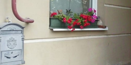 1-комн квартира Рябиновая улица, 16