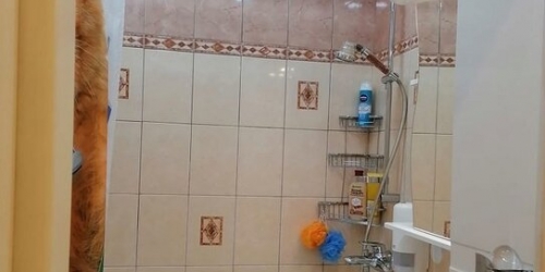 1-комн квартира Мурановская улица,  д. 4