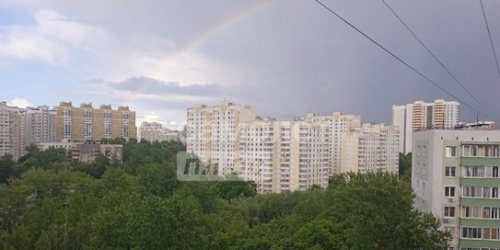 1-комн квартира Ельнинская улица,  д. 19