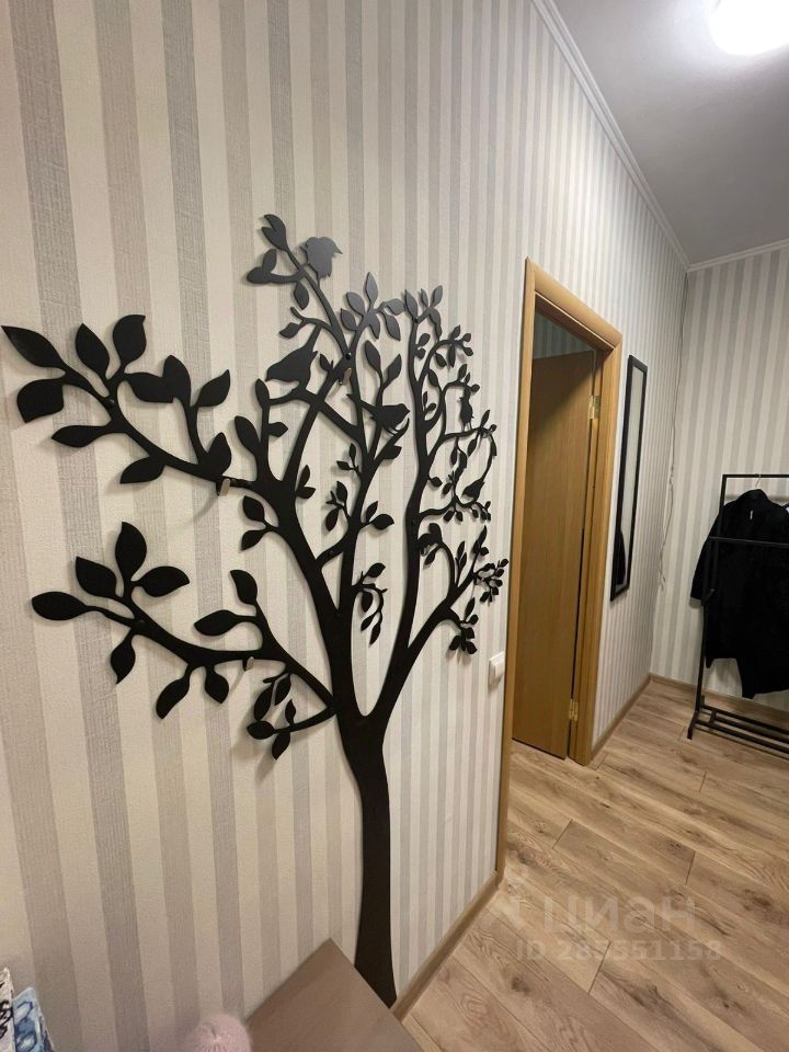 Аренда студии проспект Науки, 17к2