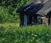 Продать Земельные участки, земля д. Большие Озерцы, улица Партизанская, 75   