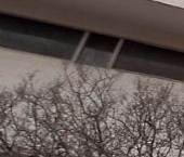 Сдать в аренду Квартиры вторичка Волгоградский проспект, 145/8   