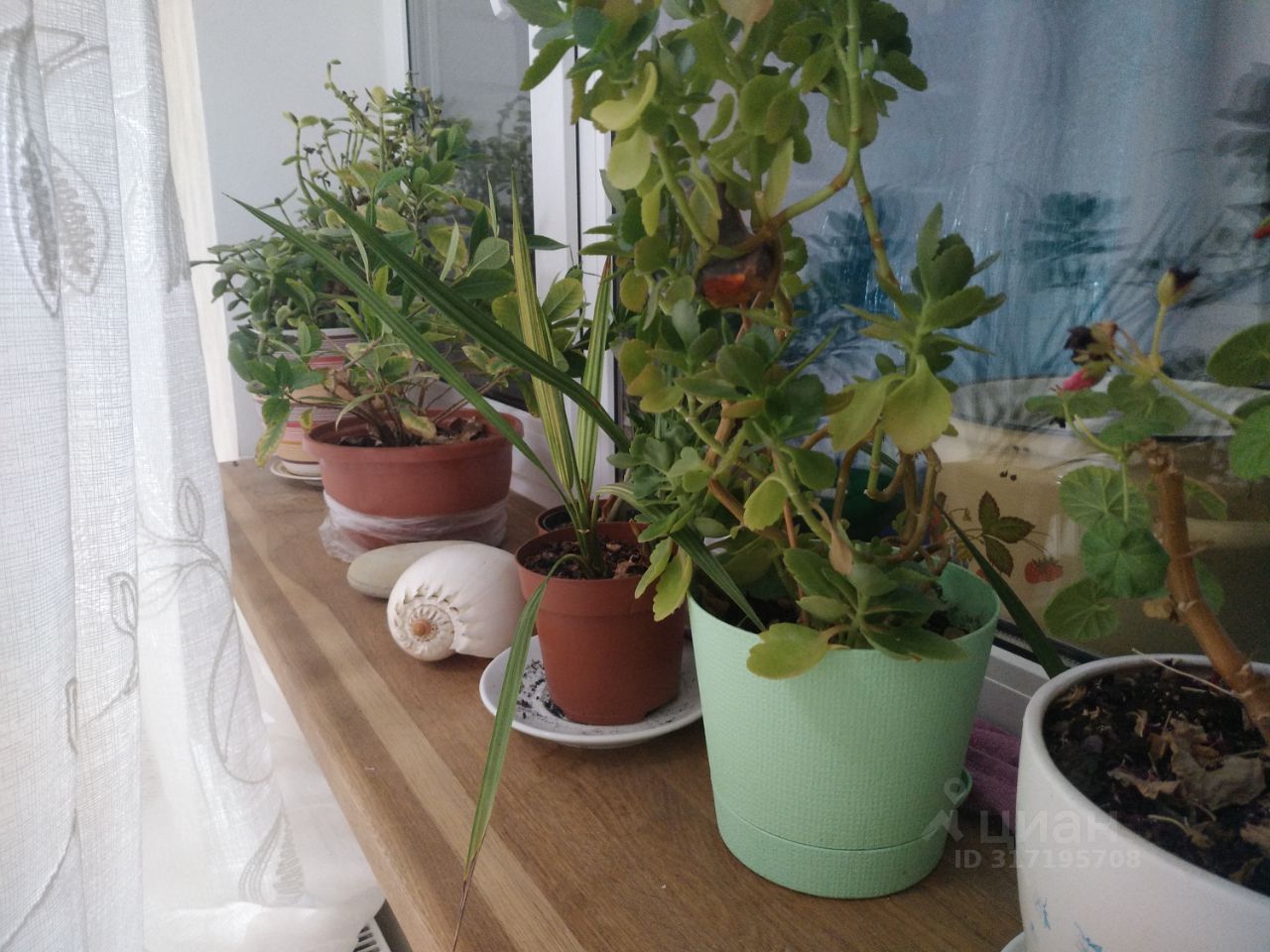 Продажа 1-комн квартиры на вторичном рынке Королев, улица Тарасовская, 25