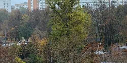 3-комн квартира 15-я Парковая улица, 54