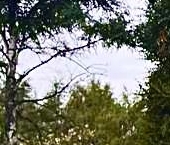 Продать Квартиры вторичка Можайское шоссе, 2   