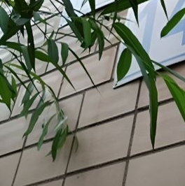 Продажа 2-комн квартиры на вторичном рынке улица Морской Пехоты, 14