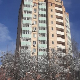 Продажа 2-комн квартиры на вторичном рынке Новокуркинское шоссе,  д. 51