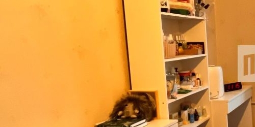 2-комн квартира Ланское шоссе, 59