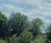 Продать Дачи, коттеджи, загородные дома д. Черенцево, 32   