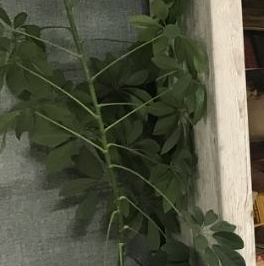 Продажа 1-комн квартиры на вторичном рынке улица Чудновского, 6к2 Продажа 1-комн квартиры на вторичном рынке улица Чудновского, 6к2