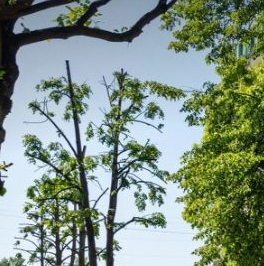 Продажа 2-комн квартиры на вторичном рынке Подъездной переулок, 12 Продажа 2-комн квартиры на вторичном рынке Подъездной переулок, 12