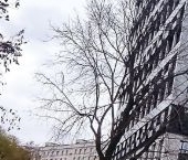 Сдать в аренду Квартиры вторичка Нагатинская набережная, 10А   