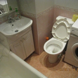 Аренда 1-комн квартиры на вторичном рынке проезд Якушкина,  д. 5