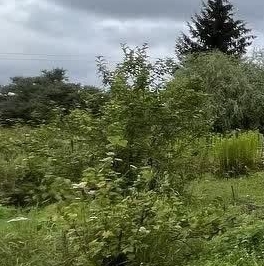 Продажа дома Энергетик СНТ, улица 1-я, 23 Продажа дома Энергетик СНТ, улица 1-я, 23