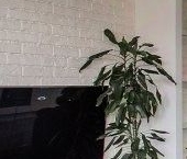 Сдать в аренду Квартиры вторичка улица Льва Толстого, 7   