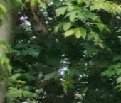 Продать Квартиры вторичка Г мкр, Пущино  21 