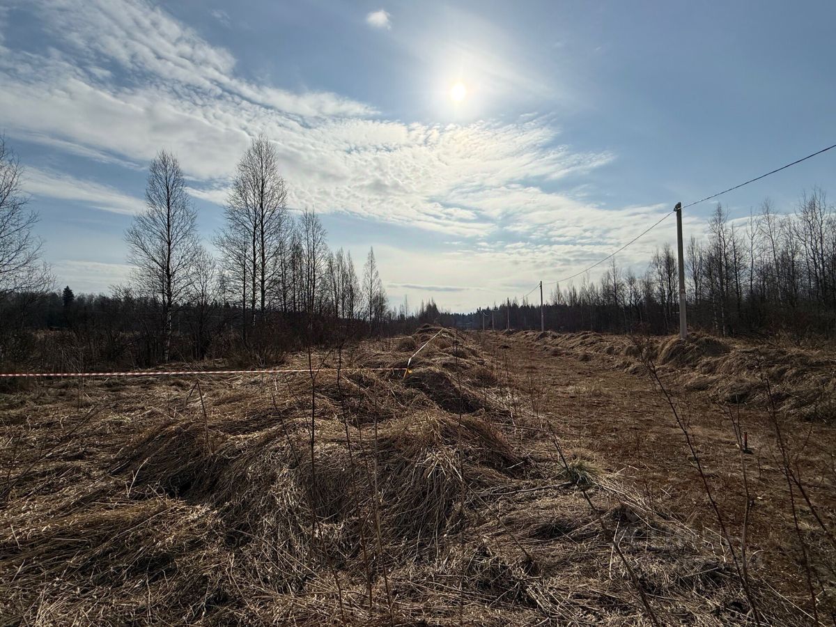 Продажа земли Корневские Гривки ТСН, 7-я линия