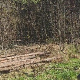 Продажа земли Дружная Горка городской поселок, улица Пограничная Продажа земли Дружная Горка городской поселок, улица Пограничная