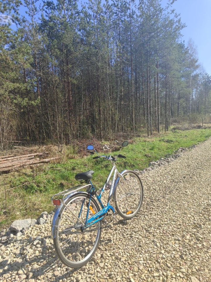Продажа земли Дружная Горка городской поселок, улица Пограничная