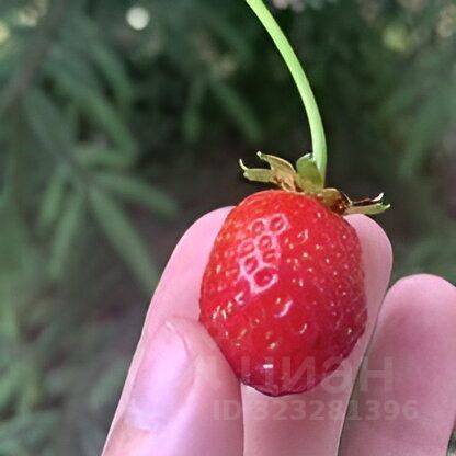 Продажа дома Мяглово-Карьер садоводческий массив, Уткина заводь СНТ, 9-я линия,  д. 269