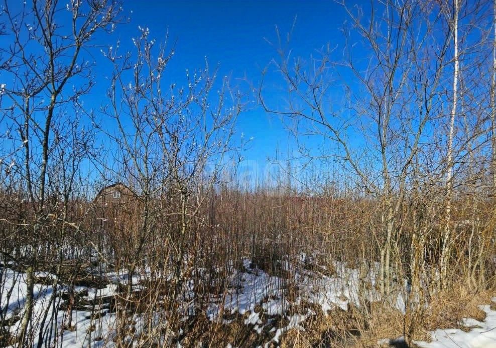 Продажа земли Восход садоводческий массив, Звездочка СНТ, улица Рябиновая,  д. 49