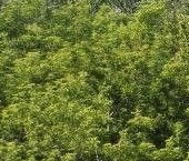 Продать Квартиры вторичка улица Яблочкова, 37Г   