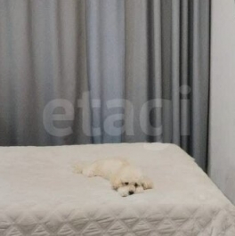 Продажа 3-комн квартиры на вторичном рынке Петровский пр-кт,  д. 20,  к. 5