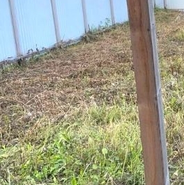 Продажа дома Дачный-4 массив, д. Монделево