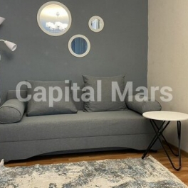 Аренда 1-комн квартиры на вторичном рынке Заневский пр-кт,  д. 47