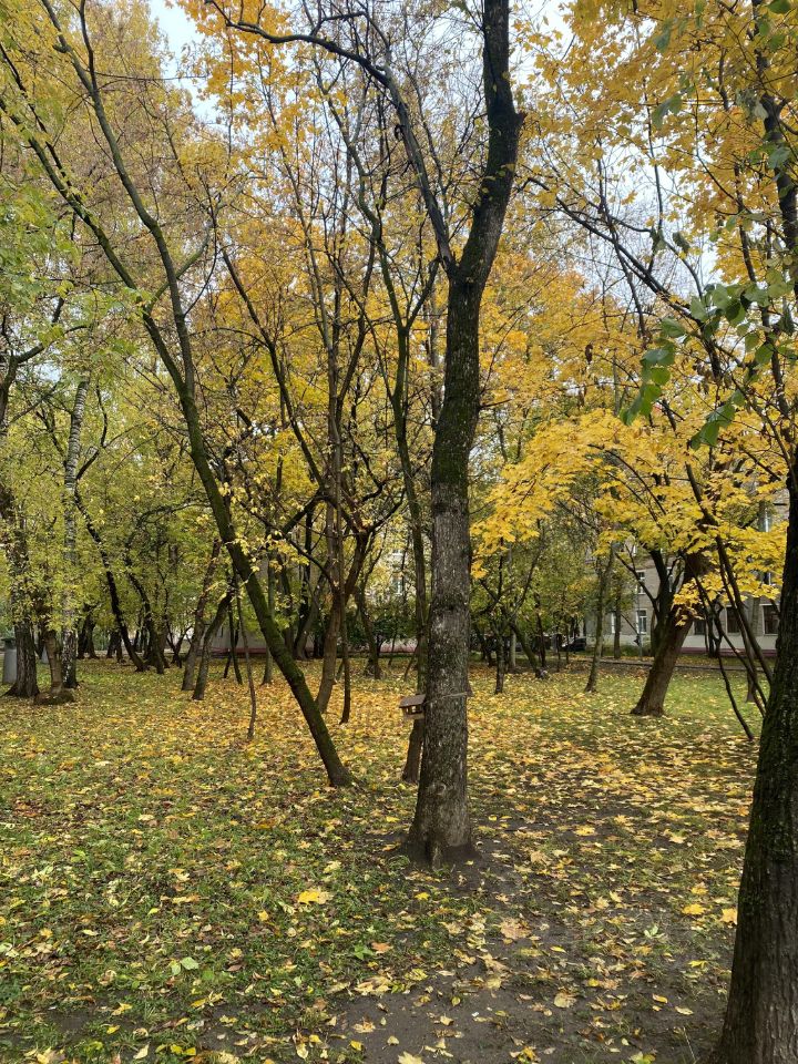 Аренда 1-комн квартиры на вторичном рынке Светлый проезд, 6К4