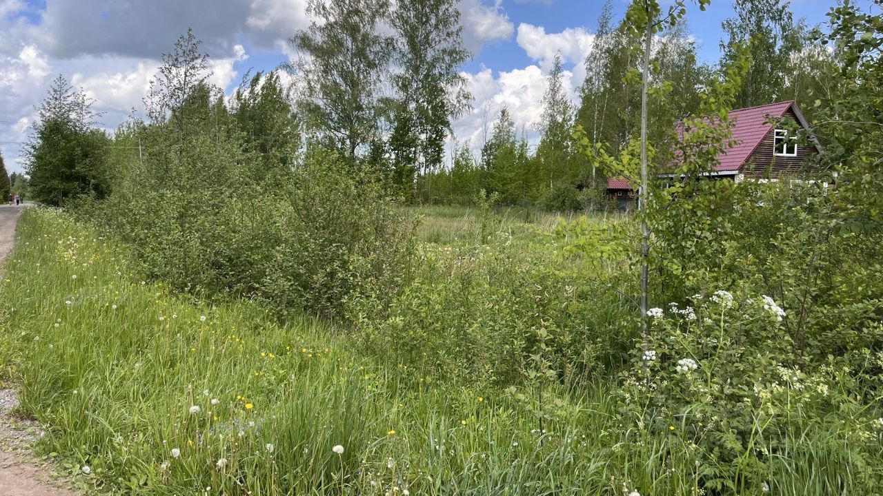 Продажа земли Славянка садовое товарищество, Апраксин СНТ, 4-я линия, 15