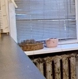 Продажа 3-комн квартиры на вторичном рынке д. Большое Буньково, переулок Демонстрационный, 1