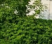 Продать Квартиры вторичка Серпухов, улица Горького, 40   