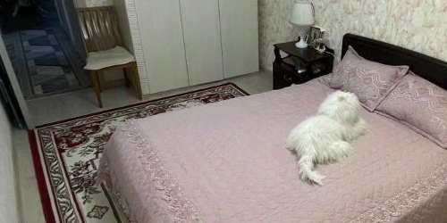 2-комн квартира улица Плющева, 17К2