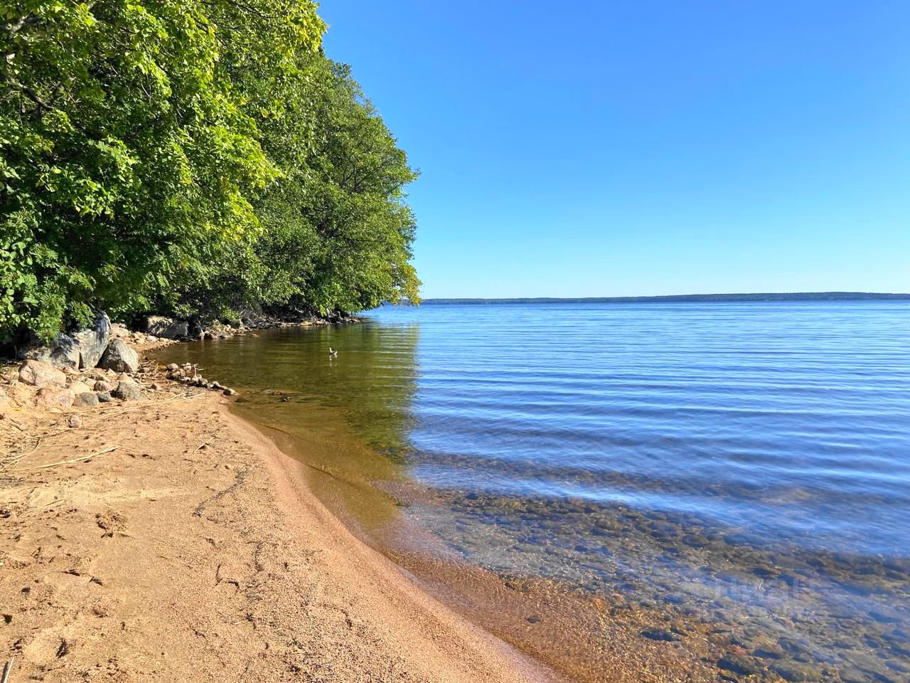 Продажа земли пос. Плодовое, улица Береговая, 66