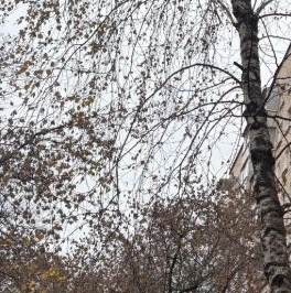 Продажа 2-комн квартиры на вторичном рынке Малая Калитниковская улица, 9 Продажа 2-комн квартиры на вторичном рынке Малая Калитниковская улица, 9