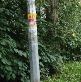 Продажа 2-комн квартиры на вторичном рынке Колпино, проспект Ленина, 45 Продажа 2-комн квартиры на вторичном рынке Колпино, проспект Ленина, 45