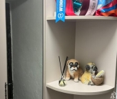 Продать Квартиры вторичка Люберцы, ул Космонавтов  29 