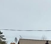 Продать Дачи, коттеджи, загородные дома Озерное СНТ, улица Центральная   