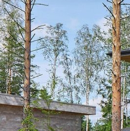 Продажа дома Зеленый Остров СНТ, улица Зеленая, д. 17 Продажа дома Зеленый Остров СНТ, улица Зеленая, д. 17