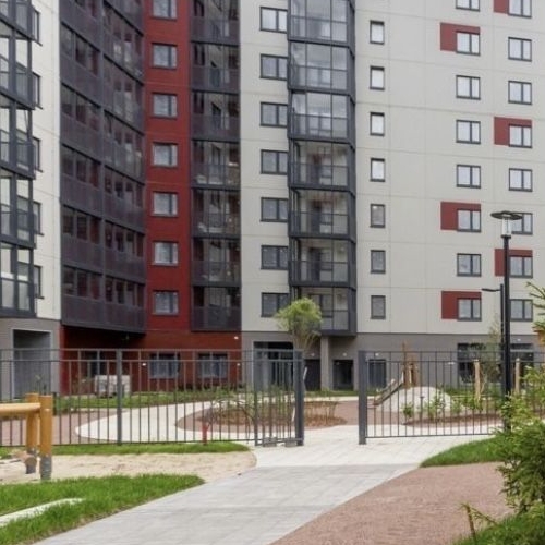 Студия пос. Янино-1, улица Тюльпанов, 1к1