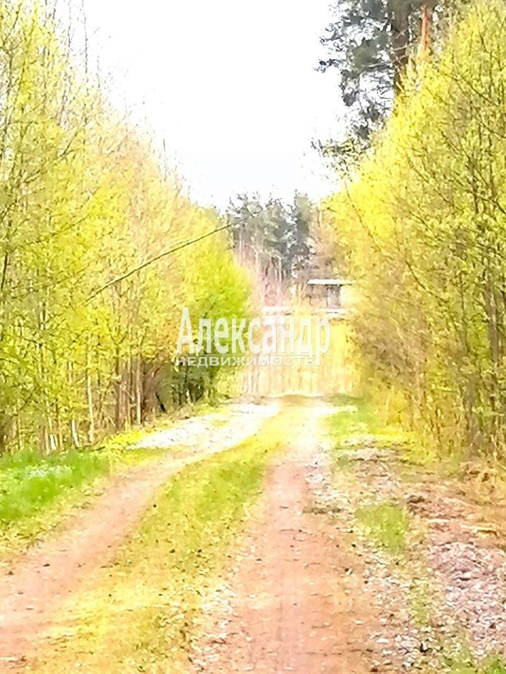 Продажа земли Особый статус - Ромашки кп, пос. Ромашки