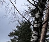 Продать Дачи, коттеджи, загородные дома Всеволожск, Павловская улица, 116   