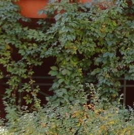 Продажа 2-комн квартиры на вторичном рынке пос. Развилка, проезд Римский, 1