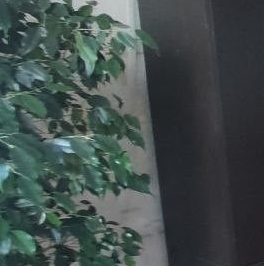 Продажа 2-комн квартиры на вторичном рынке Пушкино, улица Островского, 22