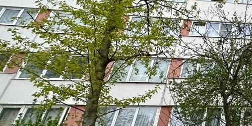 Комната улица Добровольцев, 46