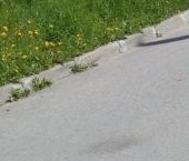 Продать Квартиры вторичка пос. Осельки, 111   