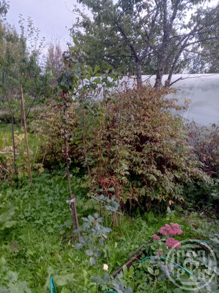 Продажа земли Лебяжье городской поселок